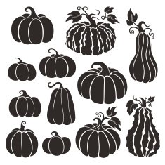 Pumpkins set