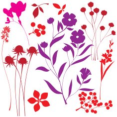 Set of floral design elements N21