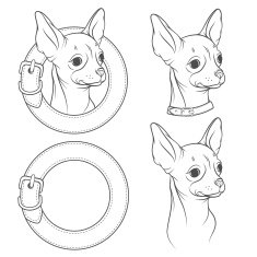 Set of vector drawing the chihuahua in collar Vector illustration