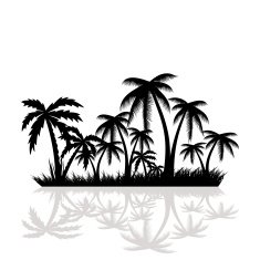 Palm Trees N10