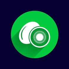 Kiwi fruits closeup icon isolated art logo design N5