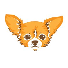 Chihuahua dog - vector illustration N9