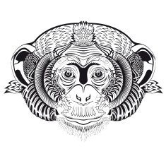 Head of monkey Sketch tattoo N2