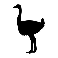 outlines of an ostrich N3