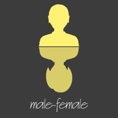 man reflection woman simple symbols banner eps10
