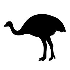 outlines of an ostrich N4