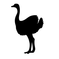 outlines of an ostrich N5