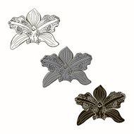 Vector set of orchids isolated on white background N2