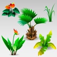 Tropical set 2