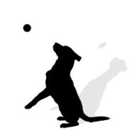 Vector silhouette of a dog N21