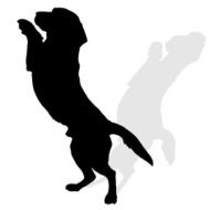 Vector silhouette of a dog N23
