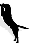 Vector silhouette of a dog N24