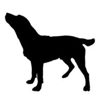 Vector silhouette of a dog N26