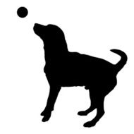 Vector silhouette of a dog N27