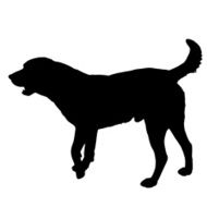 Vector silhouette of a dog N29