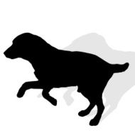 Vector silhouette of a dog N33