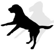 Vector silhouette of a dog N41