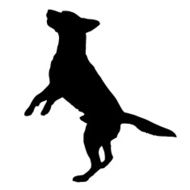Vector silhouette of a dog N42