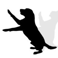 Vector silhouette of a dog N43