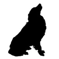 Vector silhouette of a dog N46
