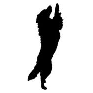 Vector silhouette of a dog N47