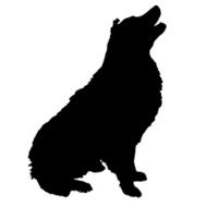 Vector silhouette of a dog N48