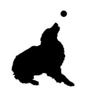Vector silhouette of a dog N49