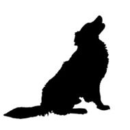 Vector silhouette of a dog N59
