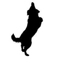 Vector silhouette of a dog N60