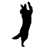Vector silhouette of a dog N61