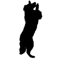 Vector silhouette of a dog N62