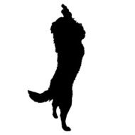 Vector silhouette of a dog N64