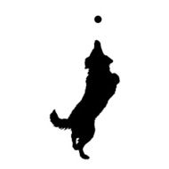 Vector silhouette of a dog N65