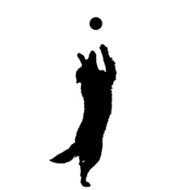 Vector silhouette of a dog N66