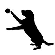 Vector silhouette of a dog N68