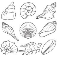 seashells N4