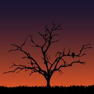 Tree and sky N2