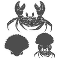 Image with shell crab claws in N2
