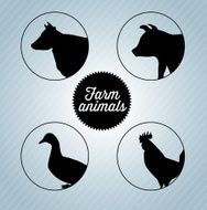Farm Animals N52