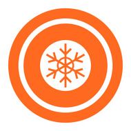 snowflake icon N19