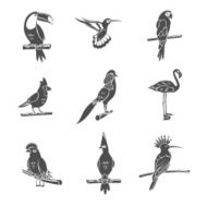 Bird Black Icons Set