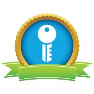 Gold key logo