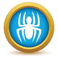 Gold spider icon