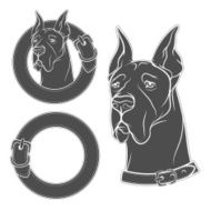 Set of vector drawing the dog in collar