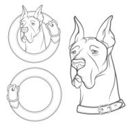 Set of vector drawing the dog in collar N2