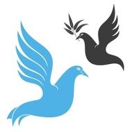 dove N6