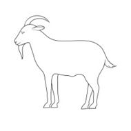 Silhouette Of Goat N2
