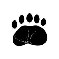 Bear Paw N2