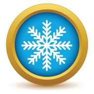 Gold snowflake icon N2