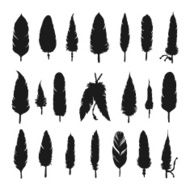 Collection of vector silhouette feathers